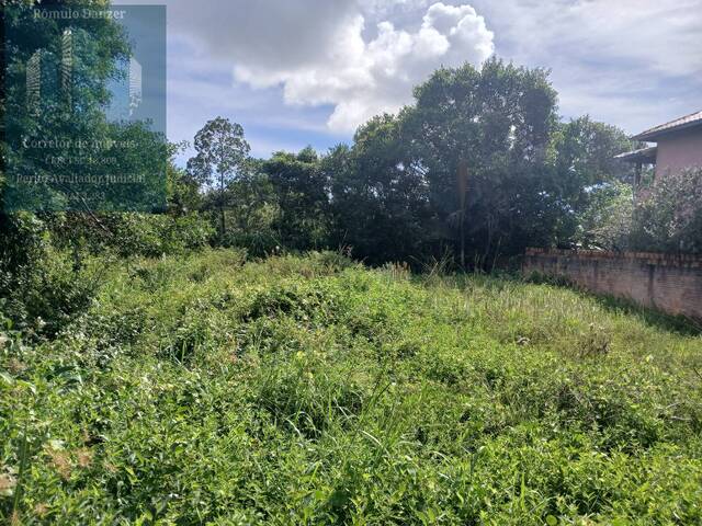 #2516 - Terreno para Venda em Florianópolis - SC - 3