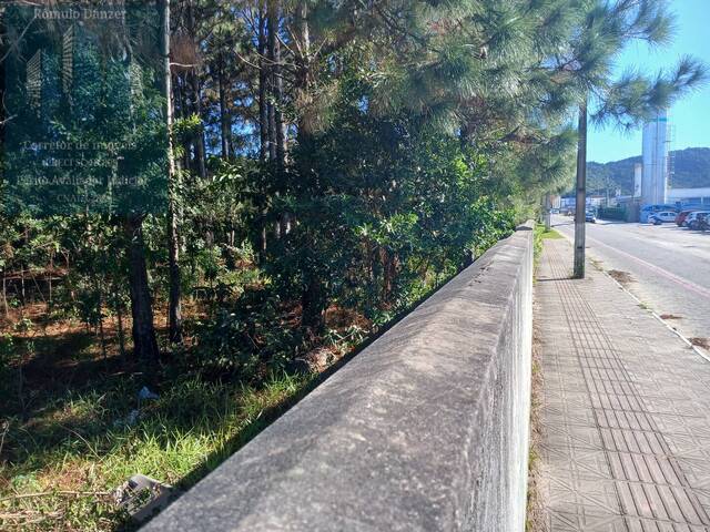 Terreno para Venda em Florianópolis - 4