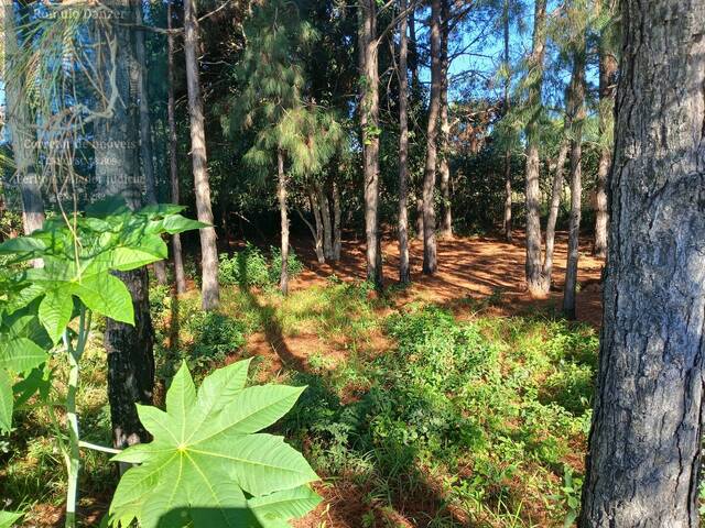 Terreno para Venda em Florianópolis - 5