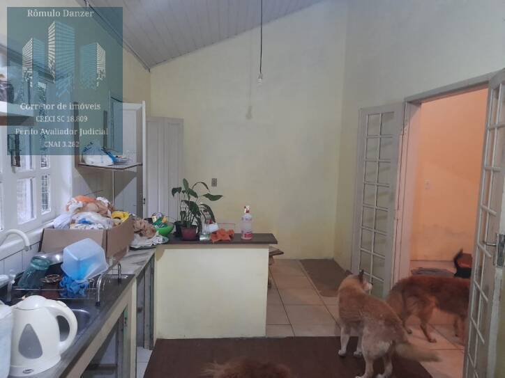 Fazenda à venda com 3 quartos, 120m² - Foto 22