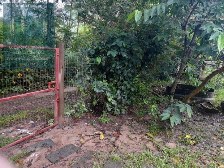 Fazenda à venda com 3 quartos, 120m² - Foto 34