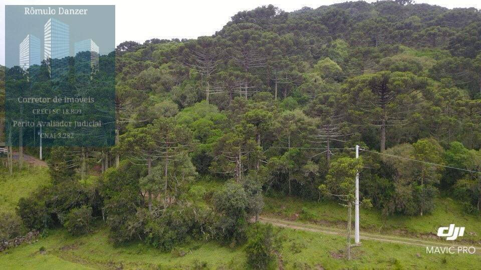 Terreno à venda, 10000m² - Foto 1