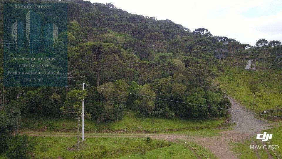 Terreno à venda, 10000m² - Foto 2