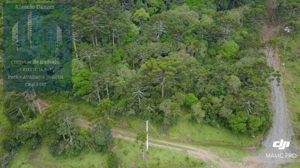 Terreno à venda, 10000m² - Foto 4