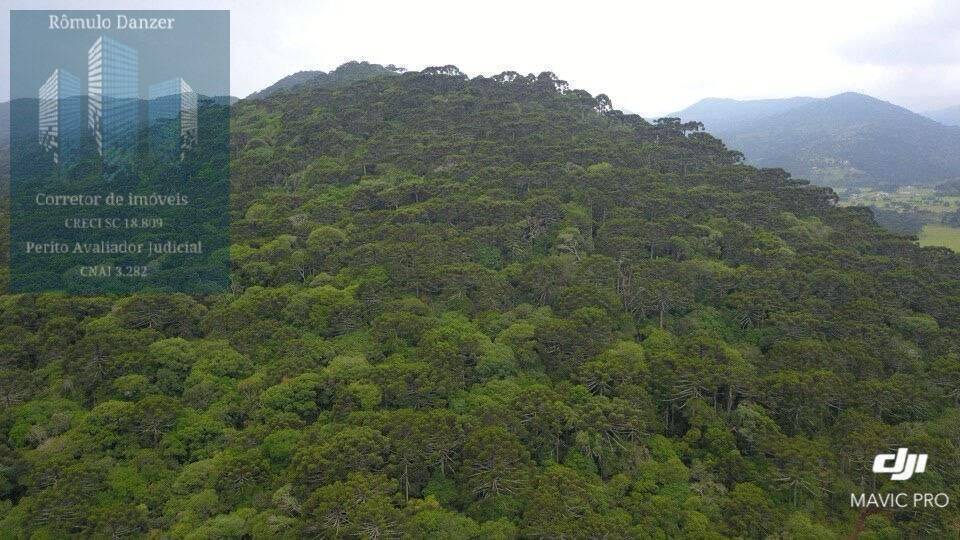 Terreno à venda, 10000m² - Foto 5