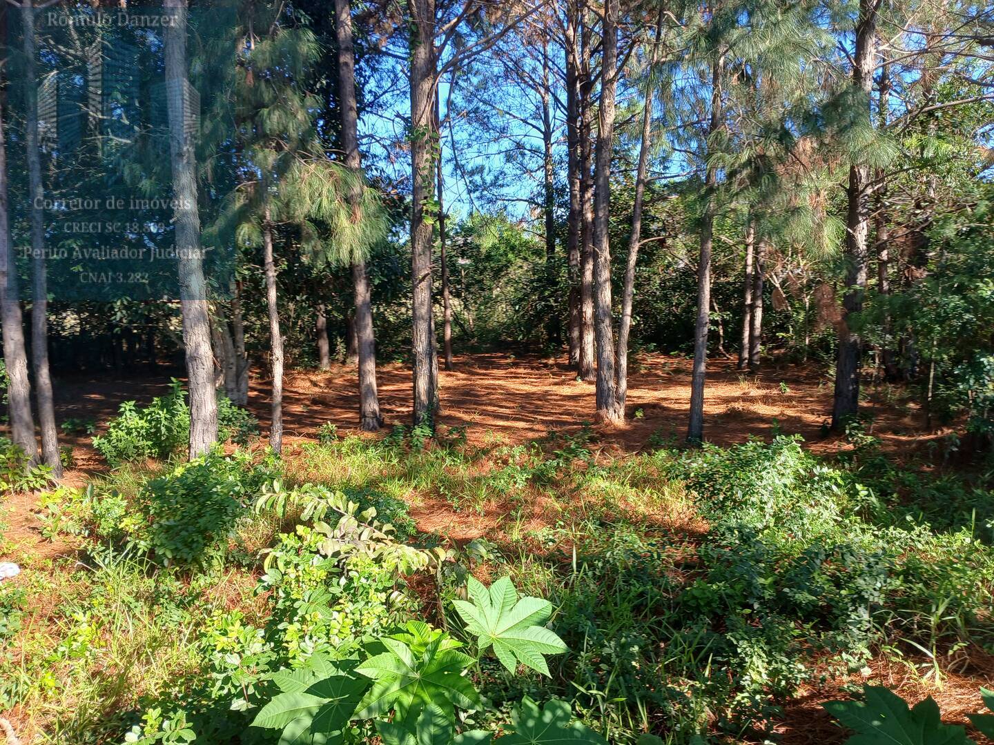 Terreno, 896 m² - Foto 10